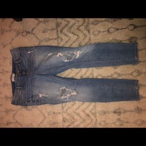 Torrid Jeans